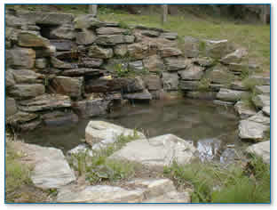 A new rock pond